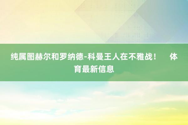 纯属图赫尔和罗纳德-科曼王人在不雅战！    体育最新信息