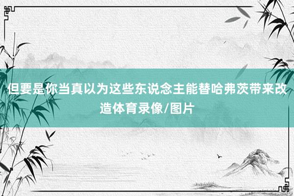 但要是你当真以为这些东说念主能替哈弗茨带来改造体育录像/图片