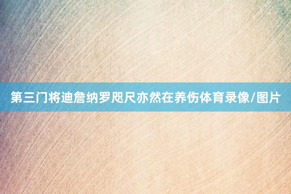 第三门将迪詹纳罗咫尺亦然在养伤体育录像/图片