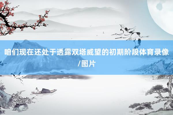 咱们现在还处于透露双塔威望的初期阶段体育录像/图片