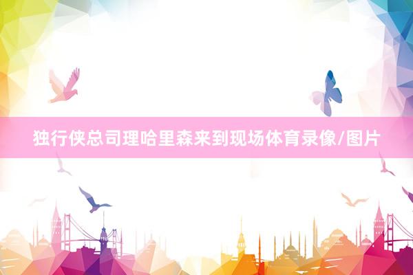 独行侠总司理哈里森来到现场体育录像/图片