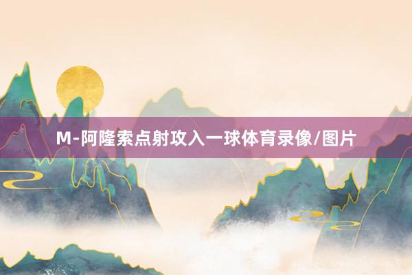 M-阿隆索点射攻入一球体育录像/图片